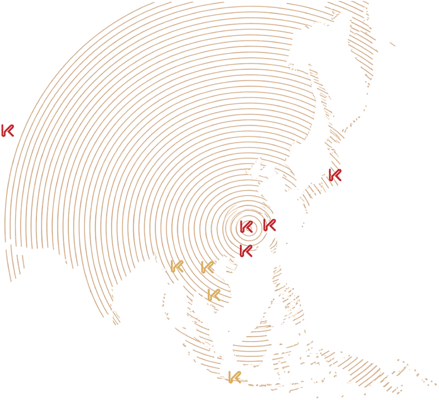 Kingsrich global network map
